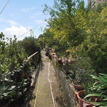 Villa Lardarina Corniglia Exterior foto
