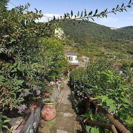 Villa Lardarina Corniglia Exterior foto
